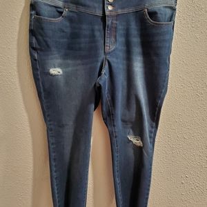 Lane Bryant Distressed Jegging